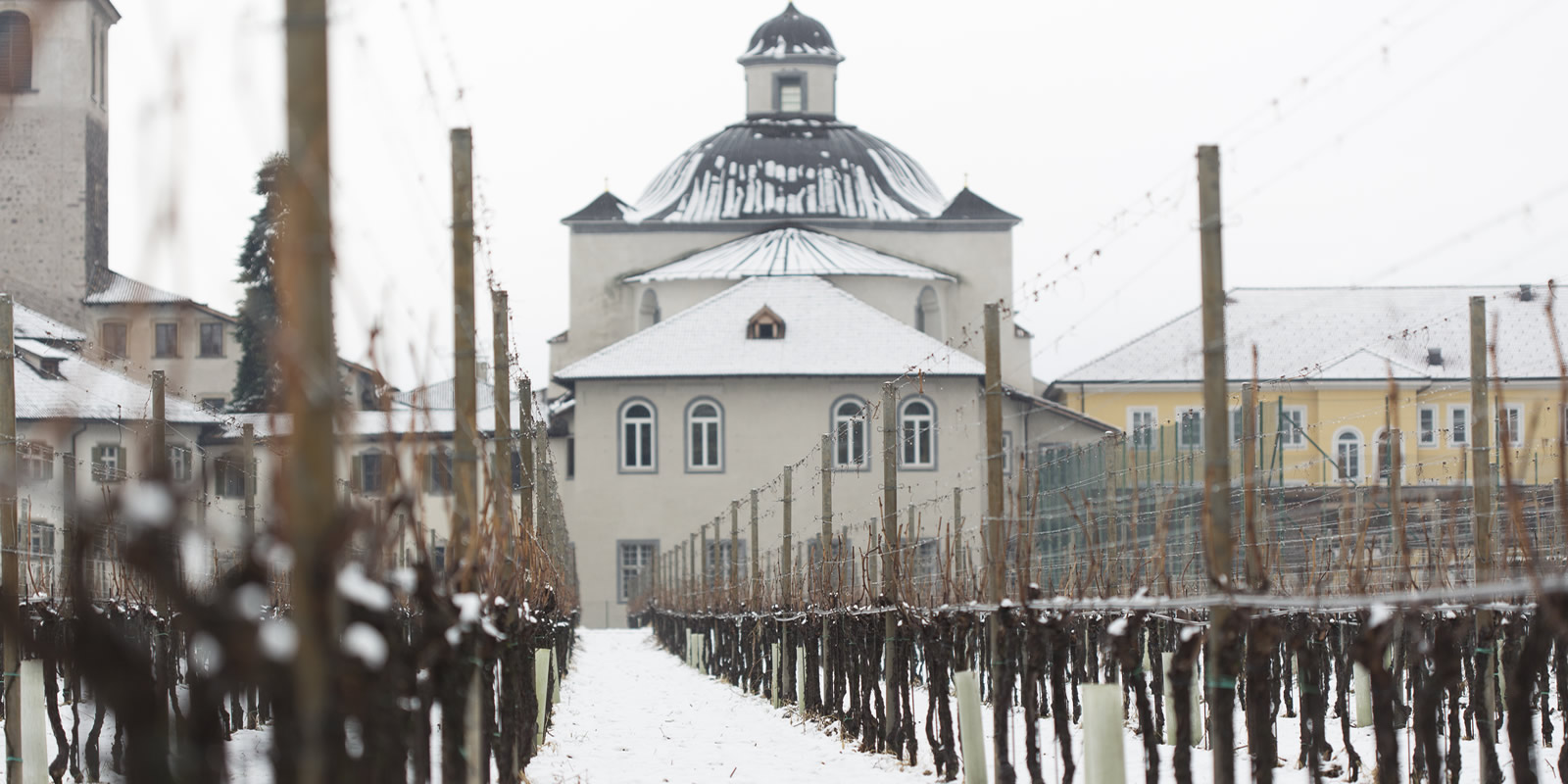 Weingut & Klosterkellerei Muri Gries